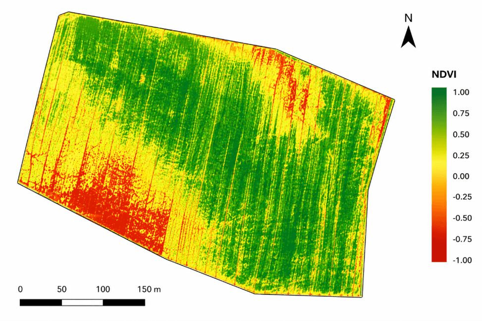 NDVI vigor map of a cornfield: deep green healthy canopy through yellow and red stressed ground along the western edge