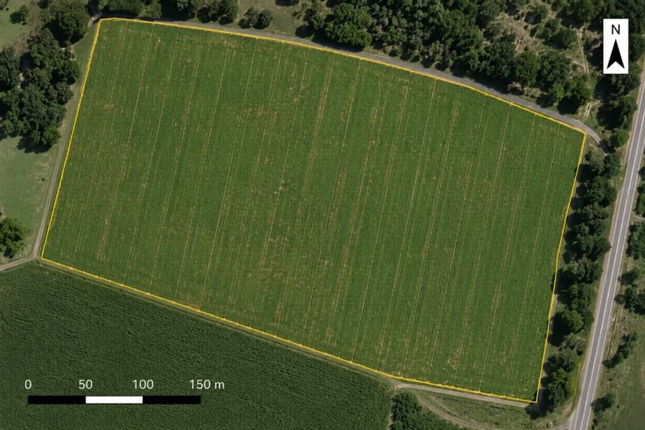 Aerial RGB orthomosaic of the same field with its surveyed boundary — uniformly green to the eye